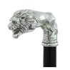 Cavagnini Colored Walking Sticks for Men and Women