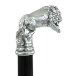 Cavagnini Colored Walking Sticks for Men and Women