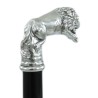 Cavagnini Colored Walking Sticks for Men and Women